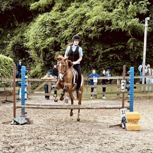 ecurie les blancs draps braine